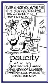 paucity是什么意思