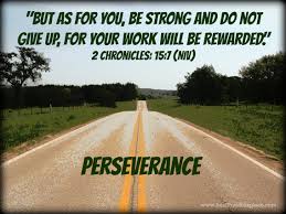 perseverance是什么意思