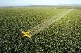 pesticide是什么意思