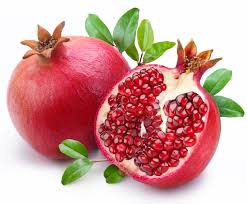 pomegranate是什么意思