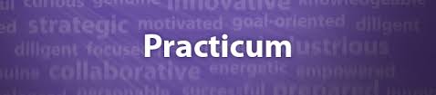 practicum是什么意思