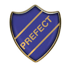 prefect是什么意思