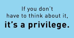 privilege是什么意思