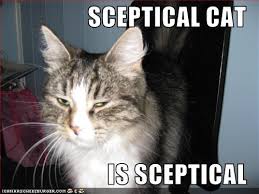 sceptical是什么意思