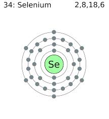 Selenium是什么意思