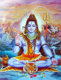 Shiva是什么意思