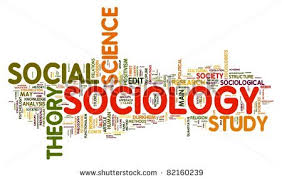sociology是什么意思