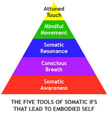 somatic是什么意思