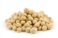 soybean是什么意思
