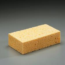 sponge是什么意思