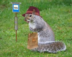 squirrely是什么意思