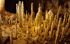 stalagmite是什么意思