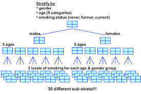 stratify是什么意思