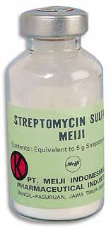 streptomycin是什么意思