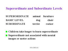 superordinate是什么意思