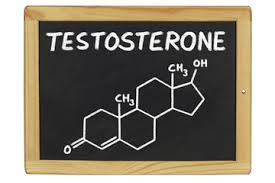testosterone是什么意思