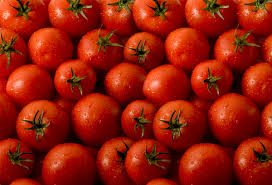 tomatoes是什么意思