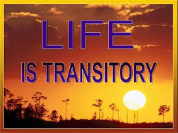 transitory是什么意思