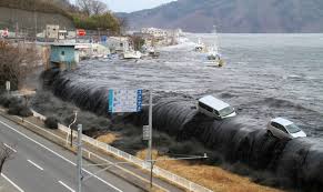tsunami是什么意思