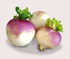 turnip是什么意思