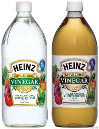 vinegar是什么意思