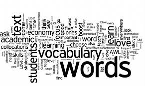 vocabulary是什么意思