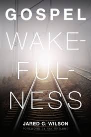 wakefulness是什么意思