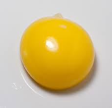 yolk是什么意思