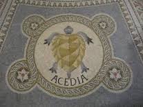 acedia是什么意思