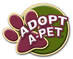 adopt是什么意思