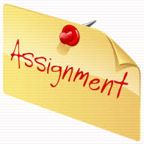 assignment是什么意思