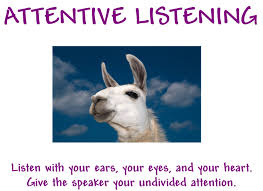 attentive是什么意思