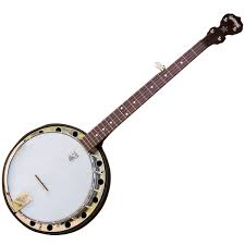 banjo是什么意思