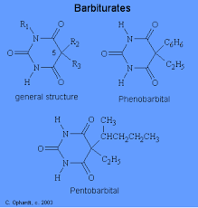 barbiturate是什么意思