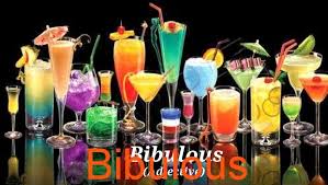 bibulous是什么意思