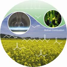 biofuel是什么意思