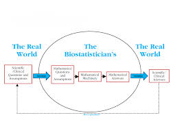 biostatistics是什么意思