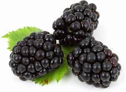 blackberry是什么意思