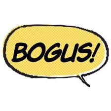 bogus是什么意思