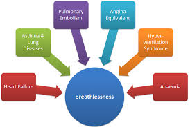 breathlessness是什么意思