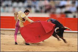bullfight是什么意思