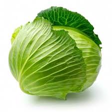 cabbage是什么意思
