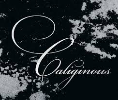 caliginous是什么意思