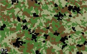 camouflage是什么意思
