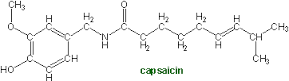 capsaicin是什么意思