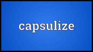 capsulize是什么意思