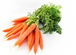 carrot是什么意思