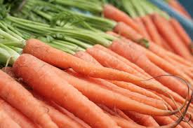 carrots是什么意思