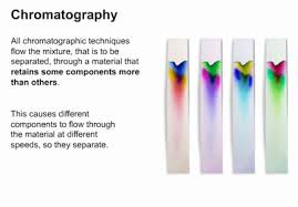 chromatography是什么意思