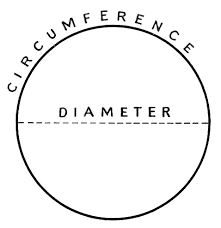 circumference是什么意思